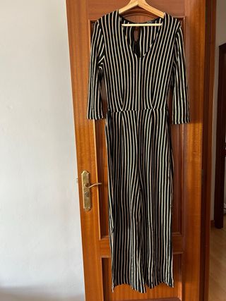 Mono de rayas 