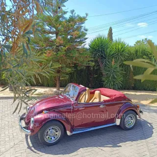 Coche Volkswagen escarabajo para bodas y eventos
