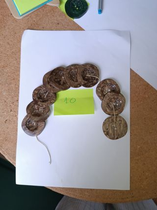 Botones grandes antiguos/ vintage años 60