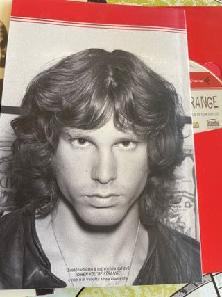 When you're Strange - The Doors. Cofanetto DVD + L