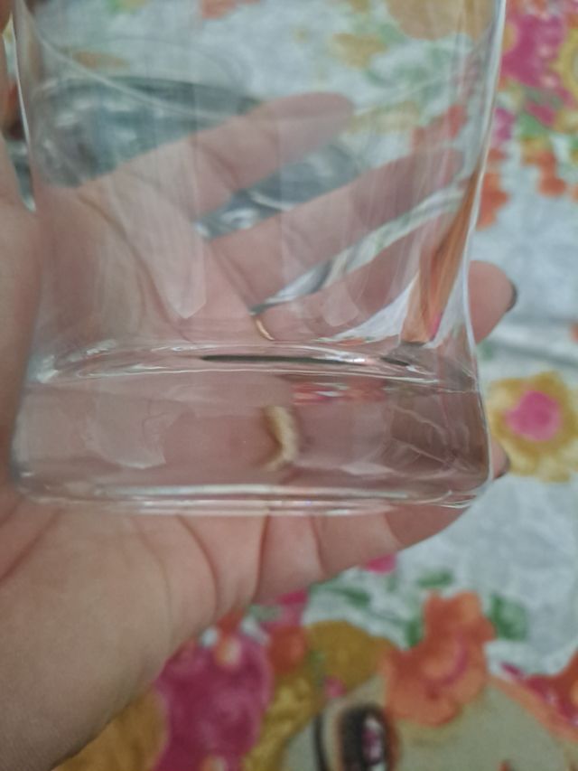 11 bicchieri da whisky più  vassoio