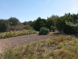 06390 Terreno rústico en venta en Alguazas.