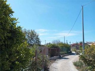 06390 Terreno rústico en venta en Alguazas.