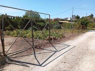 06390 Terreno rústico en venta en Alguazas.