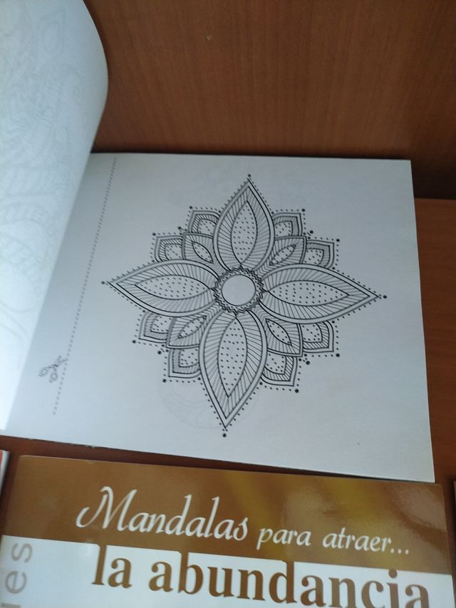 Libros para pintar mandalas