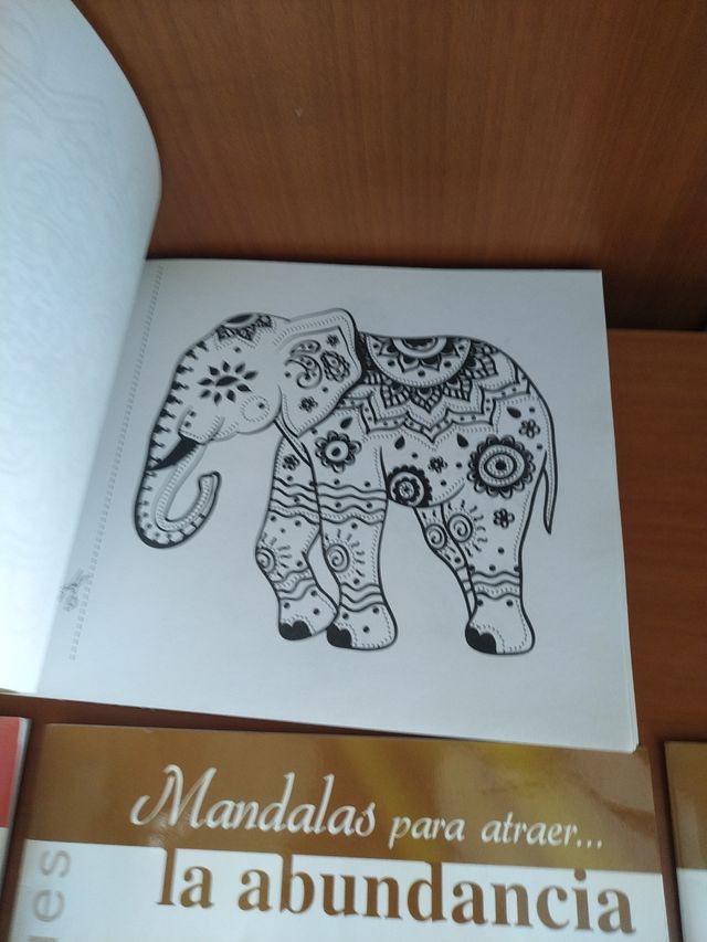 Libros para pintar mandalas