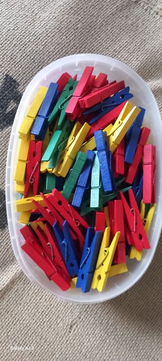 173 Mini mollette in legno colorate 
