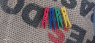 173 Mini mollette in legno colorate 