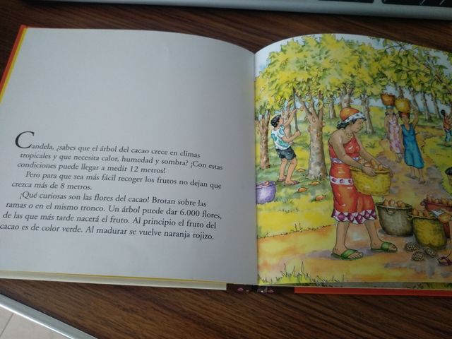 Colección libros Cómo se hace ...