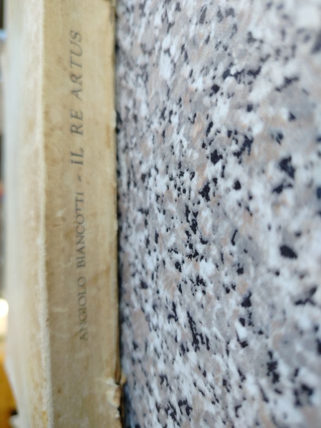 IL RE ARTUS Angelo Biancotti