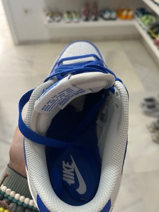 Nike Dunk Racer Blue