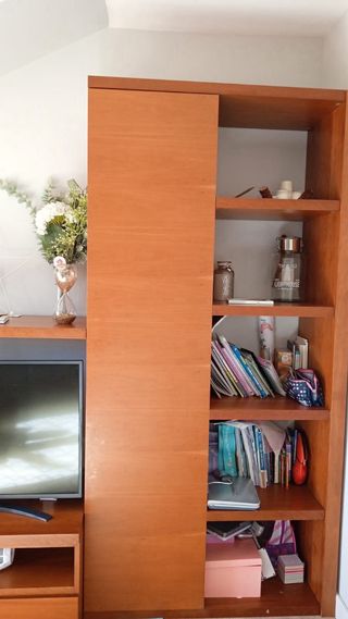 Mueble Salon armario