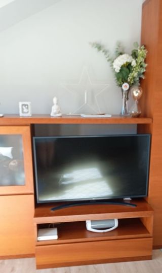 Mueble Salon armario