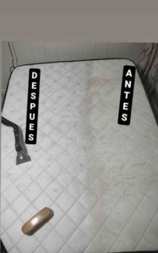 LIMPIEZA Y DESINFECCION DE TAPICERÍAS