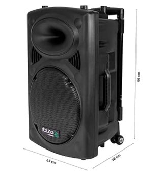 Altavoz grande portatil - Ibiza port  12"/700W