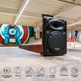 Altavoz grande portatil - Ibiza port  12"/700W