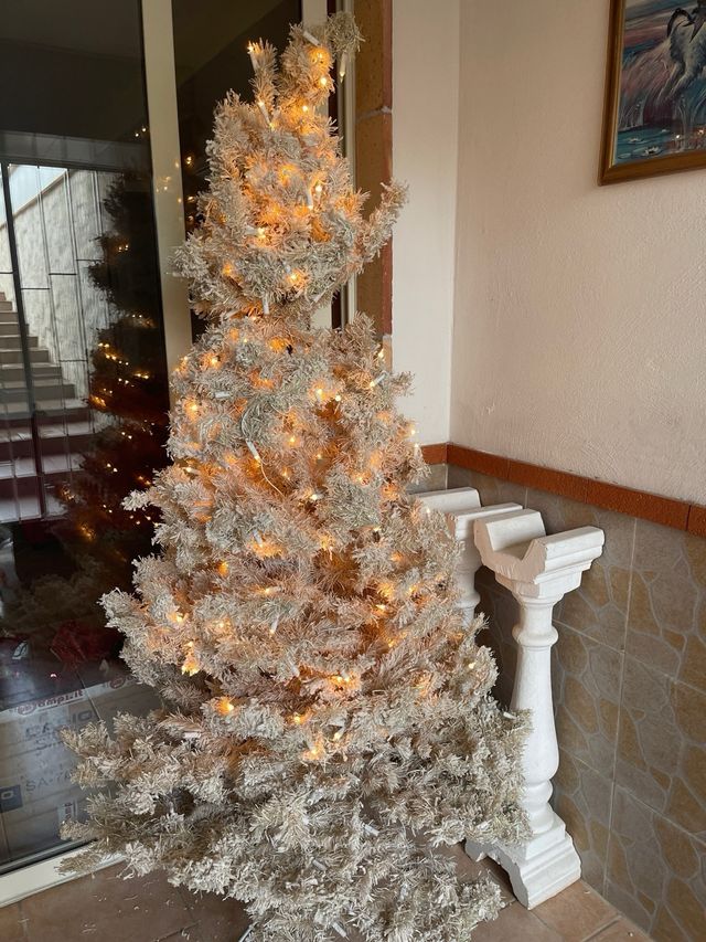 Albero natale