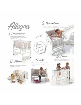 Minicuna allegra