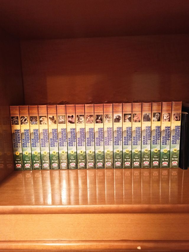 Colección Felix Rodríguez de la fuente