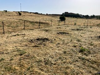 Desbroce de jardines, fincas y parcelas