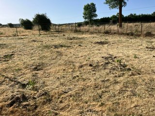 Desbroce de jardines, fincas y parcelas