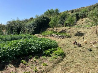 Desbroce de jardines, fincas y parcelas
