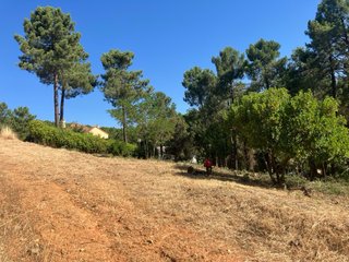 Desbroce de jardines, fincas y parcelas