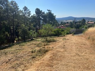 Desbroce de jardines, fincas y parcelas