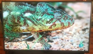 Vendo TV LG de 42 pulgadas