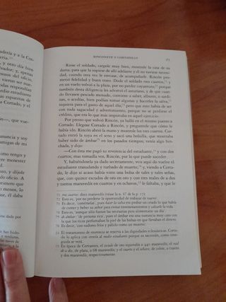 Novelas Ejemplares (Spanish Edition)