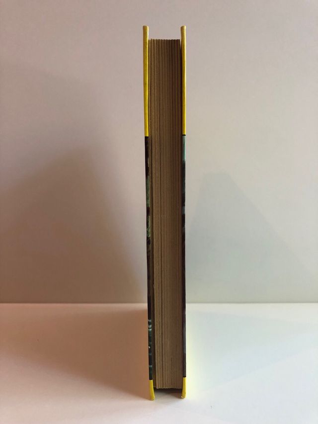 Los Gemelos y el misterio del trebol de 4 hojas