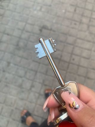 Puerta antiocupa
