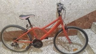 Bicicleta mediana. 
