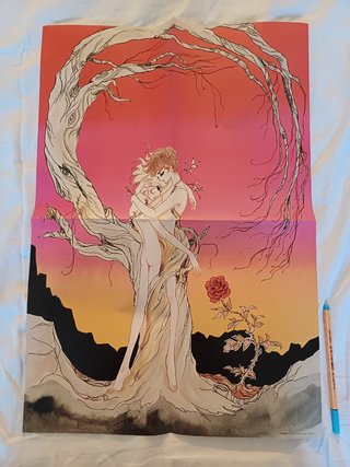 Album de ilustraciones y revista.