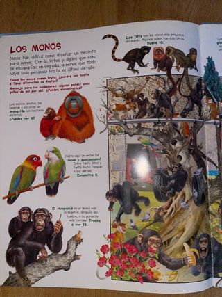Libro Busca los animales de zooo