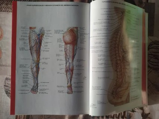 Diccionario terminológico de Ciencias Médicas
