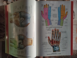 Diccionario terminológico de Ciencias Médicas
