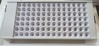 Panel Led para plantas de interior