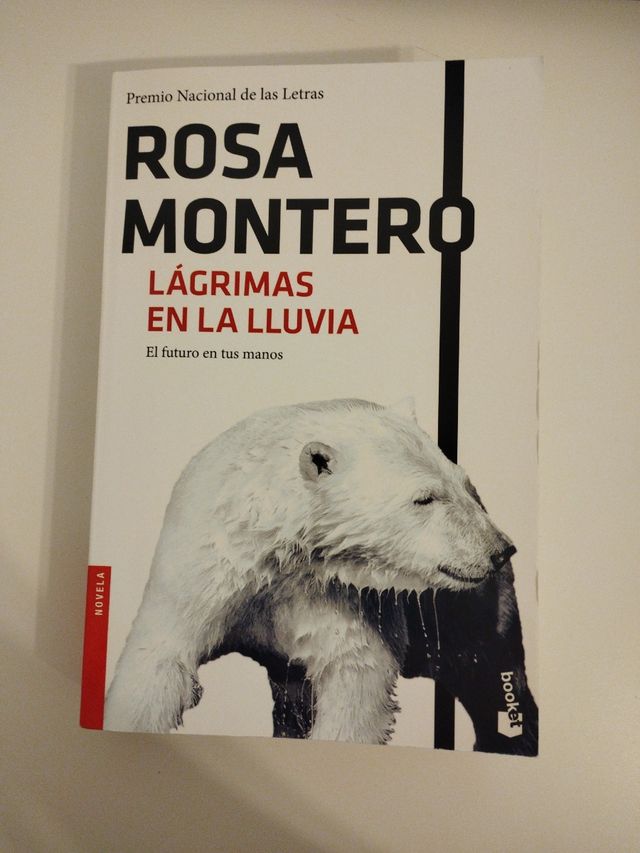 Lágrimas en la lluvia 