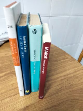 LIBROS Y NOVELAS VARIAS A 2 €