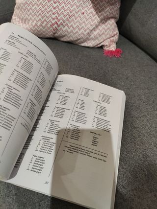 La flexió verbal (Catalan Edition)