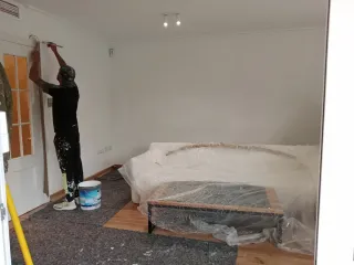 Pintores profesionales ! Reformas!