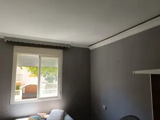 Pintores profesionales ! Reformas!