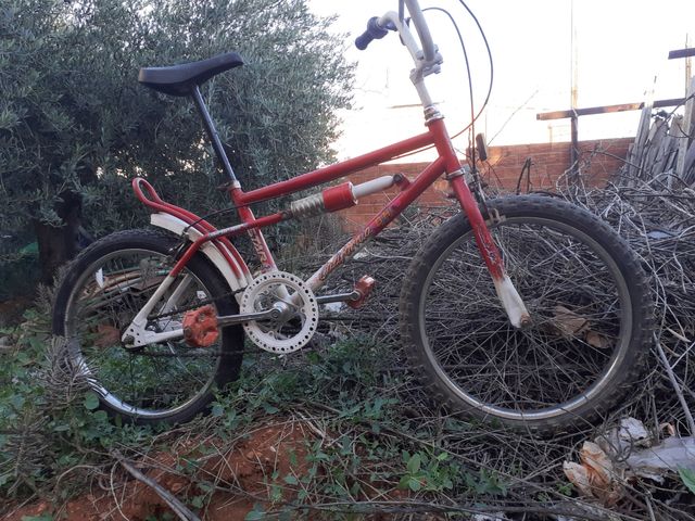 Bicicleta orbea de paseo con canvio de marhas 