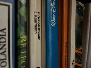 Mystery box libri