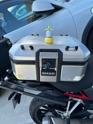 Maleta / Baúl Moto Shad Terra TR37