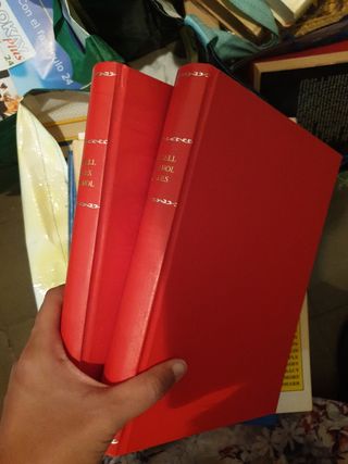 Diccionario de inglés a español