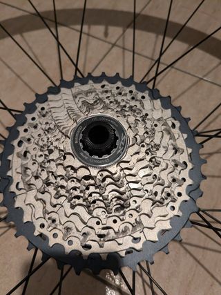 Rodillo bicicleta y rueda