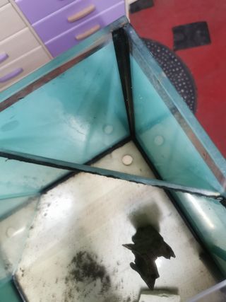 Acuario marino con mesa