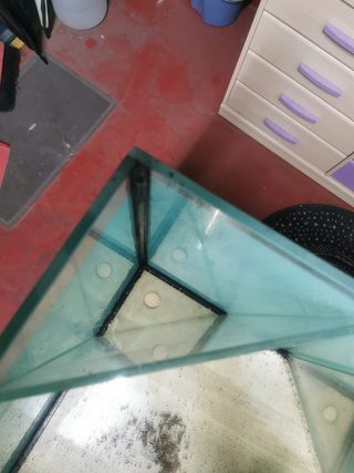 Acuario marino con mesa